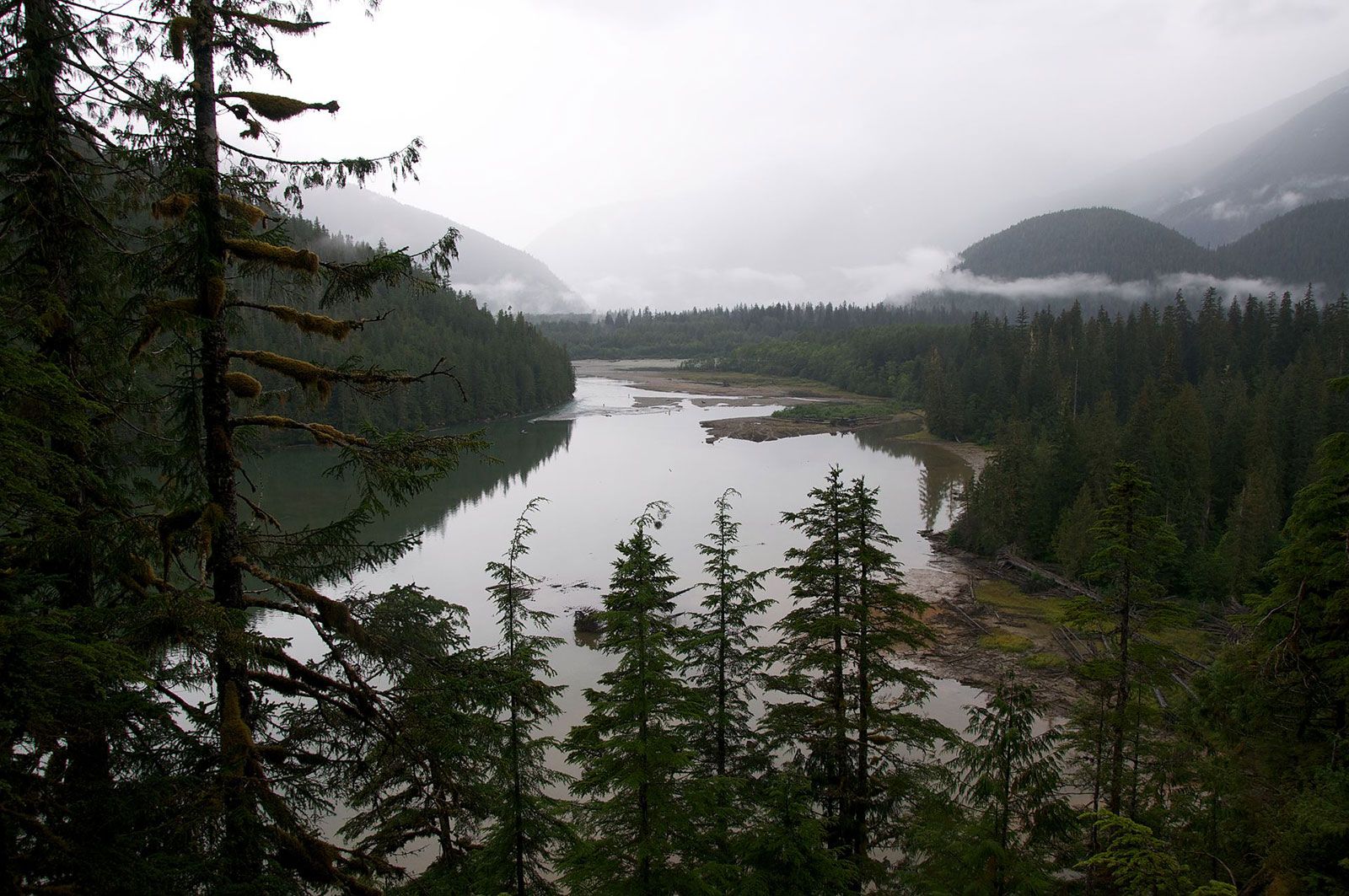 Great Bear Rainforest