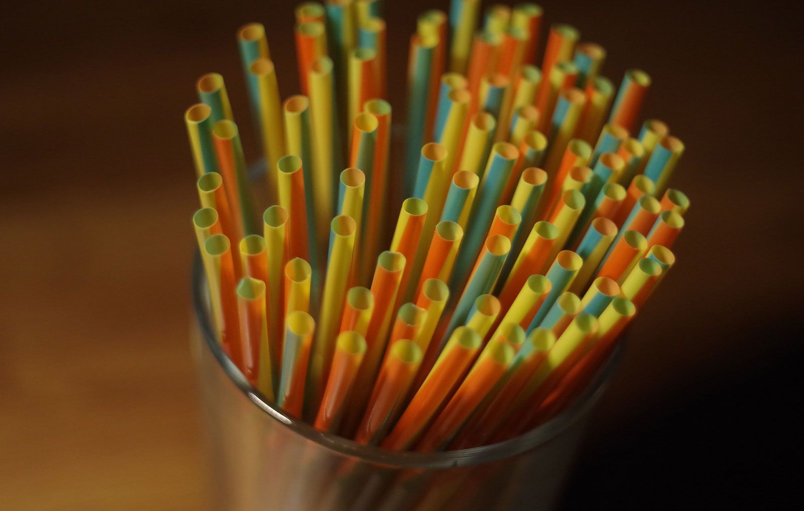 Ditch the Plastic Straw