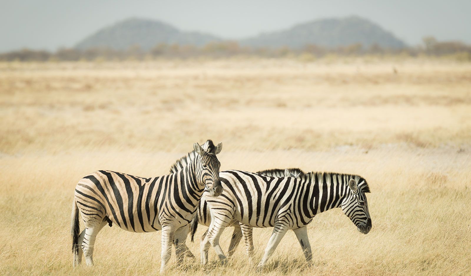 Responsible tourism in Namibia