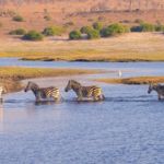 Serengeti Tanzania